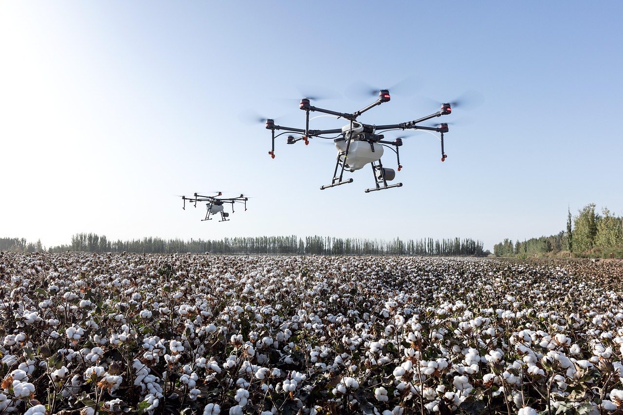 Xenon AI for agribusiness