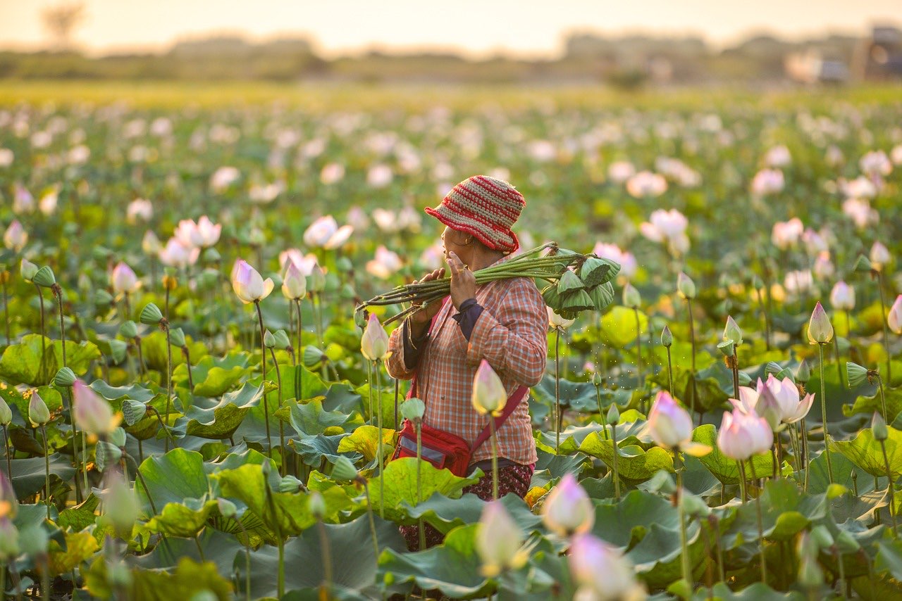 agribusiness solutions in action